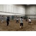 冬雪飛沙迎聖誕（相簿）